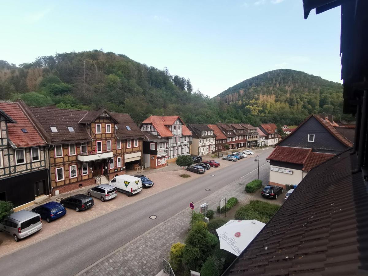 Hotel And Restaurant Bergschloesschen Zorge Esterno foto
