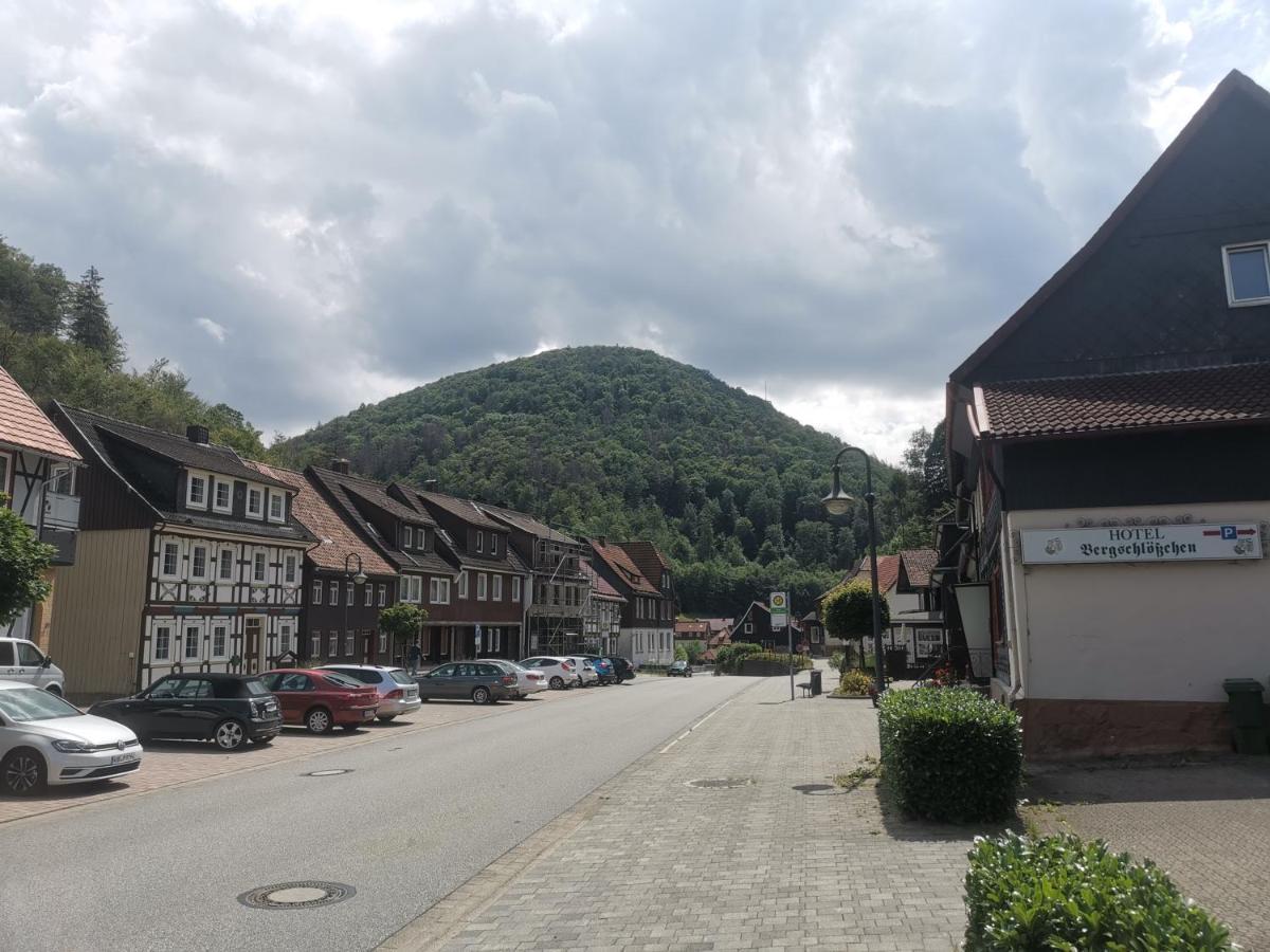 Hotel And Restaurant Bergschloesschen Zorge Esterno foto
